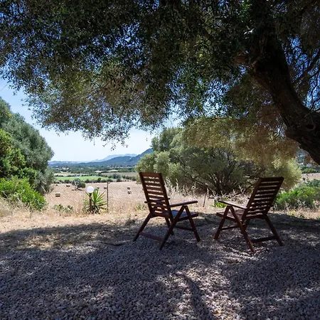 Gli Antichi Olivastri Casa Rosmarino Апартаменти *